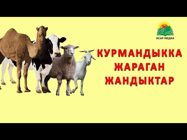 Курмандыкка жарай турган мал-жандыктар