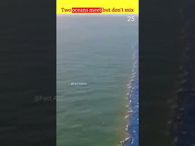 Two oceans meet but don't mix why#shorts #facts #viral