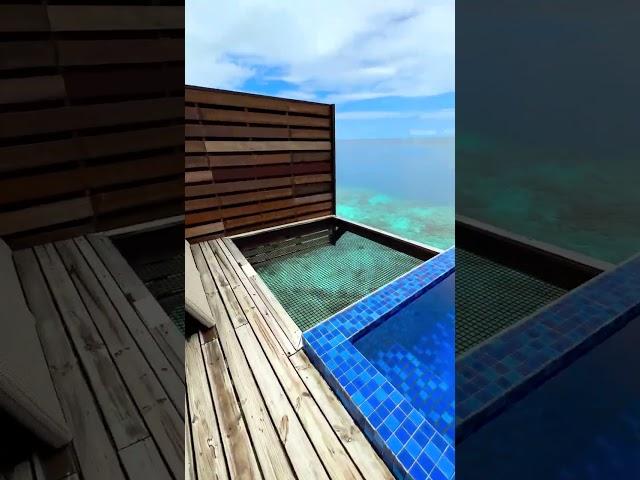 Swimming under your WATER VILLA, ONLY in #maldives   cc: terplanet