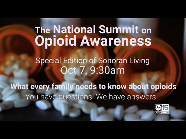 ABC 15 Phoenix, AZ Opioids Promo