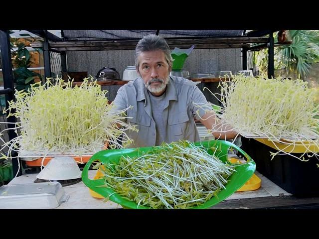 Beat Inflation By Growing Food with Hydroponics Part 2