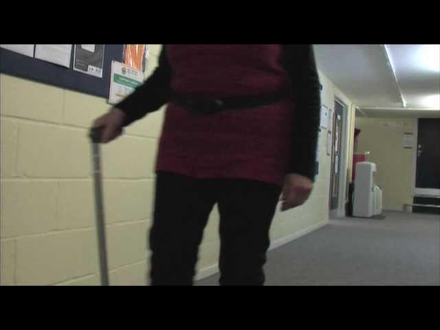 How To Use a Walking Stick (HD)