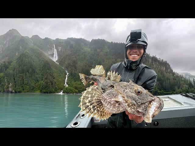 600 mi Alaska Road Trip - Eating What I Catch