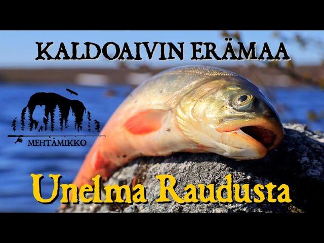 KALDOAIVI WILDERNESS: DREAMING OF THE ARCTIC CHAR – Hiking and fishing in Lapland