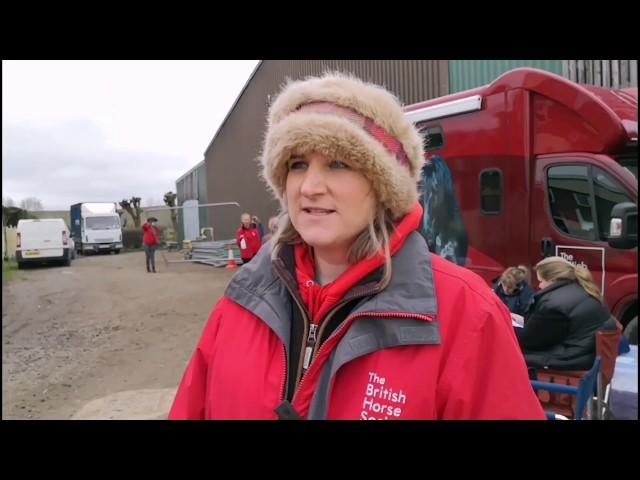 A day at a British Horse Society Healthcare and Education Clinic
