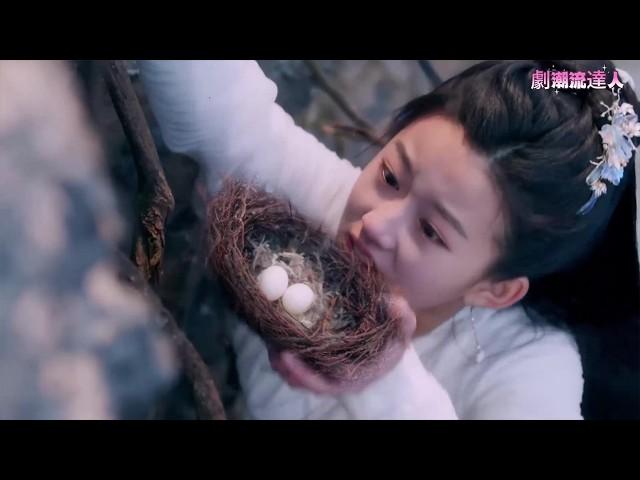 A girl risks her life to protect a nest of bird eggs—never expecting it to change her fate!
