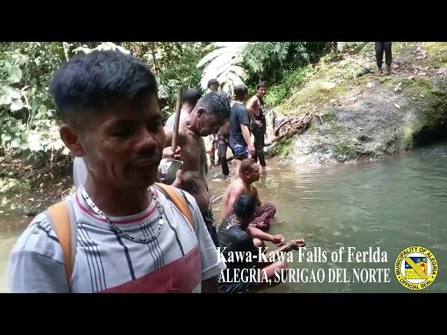 Kawa-Kawa Lagoon/Falls of Ferlda