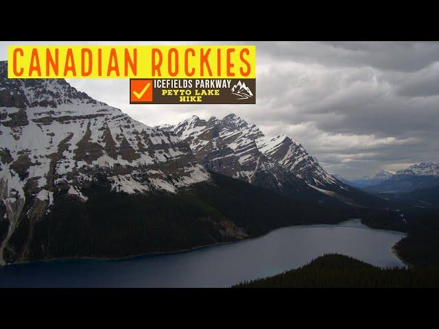 Canadian Rockies - Icefields Parkway Journey Part II - Howse Pass Lookout & Hike to Peyto Lake