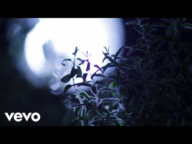 Digitalism - Circles