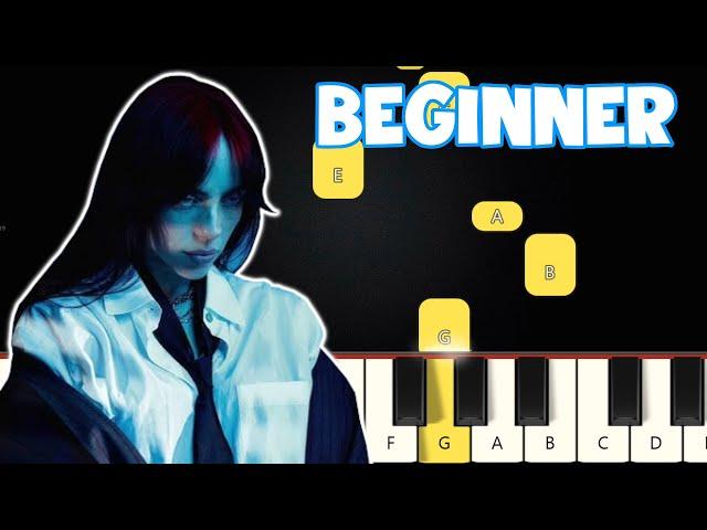 WILDFLOWER - Billie Eilish | Beginner Piano Tutorial | Easy Piano