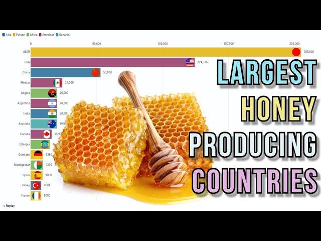 Largest honey producing countries