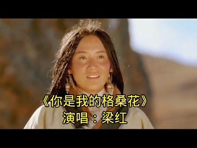 《你是我的格桑花》演唱：梁红