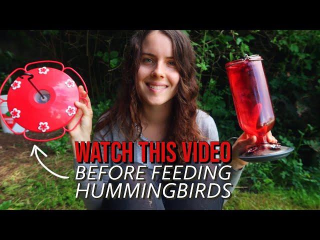 How to Feed & Attract Hummingbirds 101 // Feeder care, ethics, garden tips