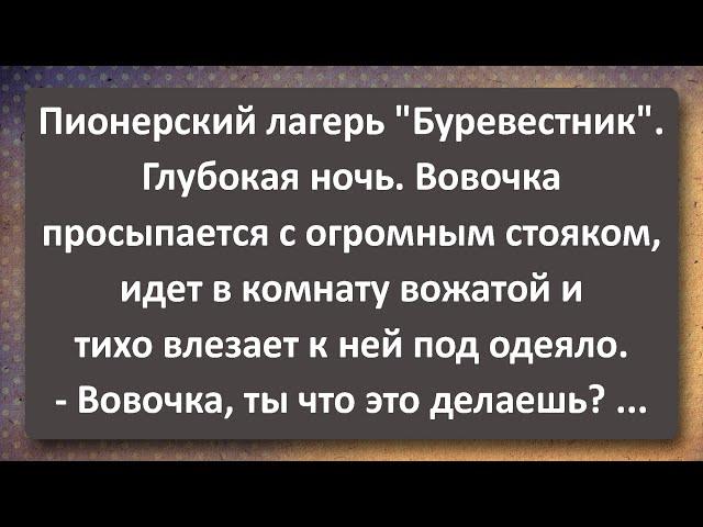 Пионерский Лагерь "Буревестник" Пятый Заезд! Сборник Самых Свежих Анекдотов! Юмор!