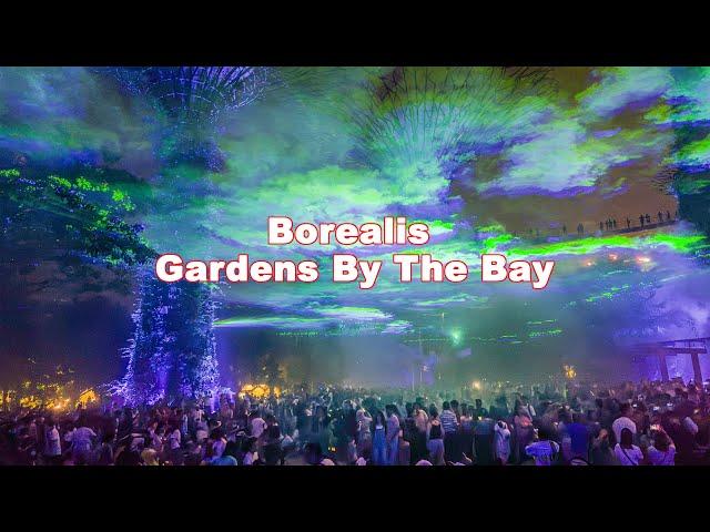 Borealis at the Supertree Grove | Gardens By The Bay | Singapore