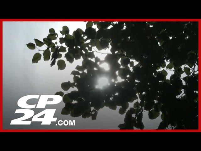 ‘Heat is going to attack us from every direction’: Dave Phillips Canada's summer forecast