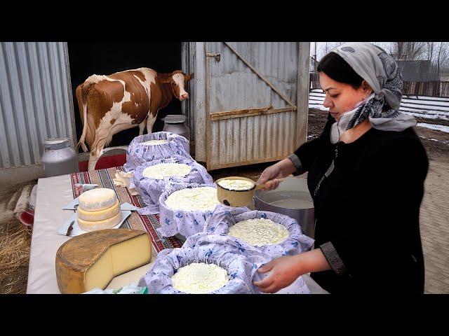 Country Cheese and Butter: Traditional Cheese Making! Country Life Azerbaijan