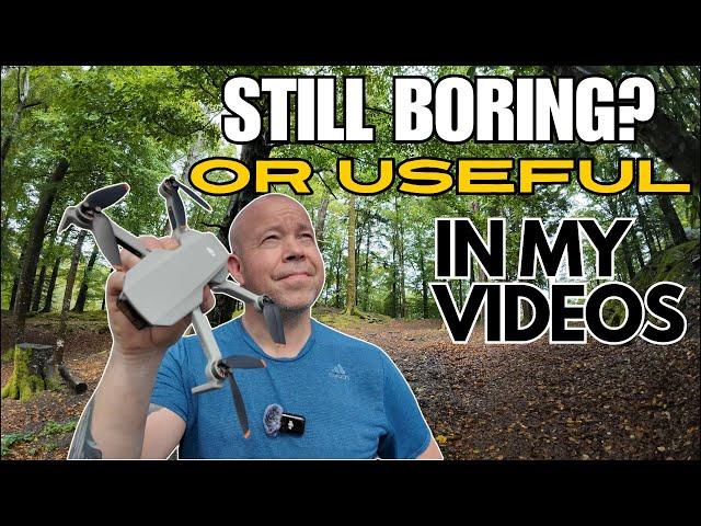 DJI Mini 2 in 2024: Is It Still Worth it?