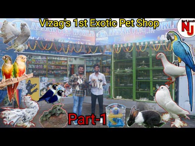 Ansar Pet World//Fancy Pigeons//Exotic Birds//Giant Dog Breeds//Vizag లో మరో పెట్స్ ప్రపంచం..!!