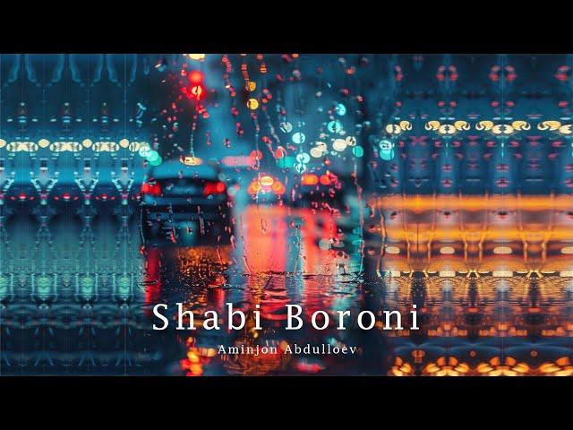 AmeeN  - Shabi Boroni / New Music 2024