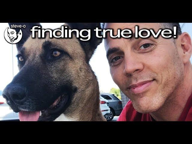Finding True Love! - Steve-O