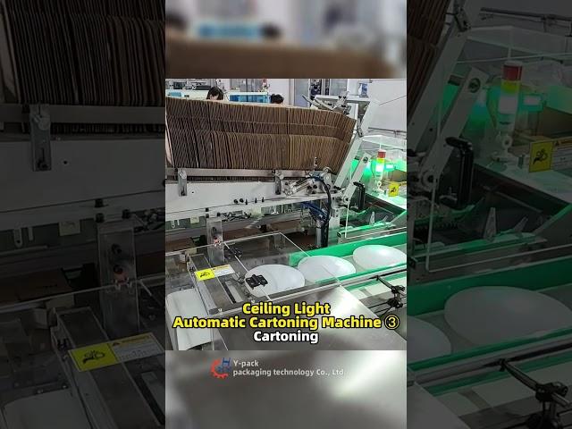 Ceiling Light Automatic Cartoning Machine ③Cartoning