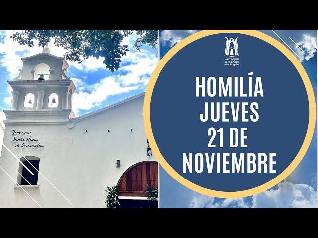 Homilía Jueves 21 Noviembre  2024 - Parroquia Santa María de los Ángeles