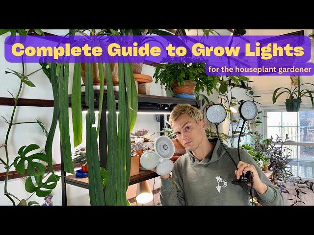 How to Use Grow Lights for Indoor Plants - Complete Guide