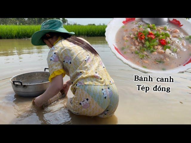 Tiếp tục vô mánh tép đồng về nấu Bánh canh tép đồng mùa khô ngon quá #thanhgiangvlog