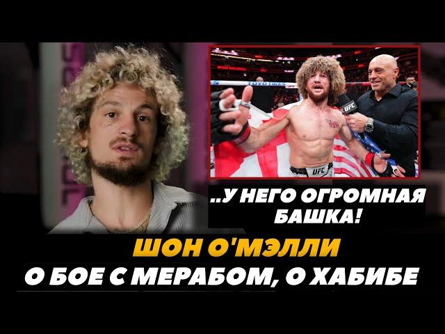 «У Мераба огромная башка!» Шон О Мэлли о бое с Мерабом Двалишвили | FightSpace MMA