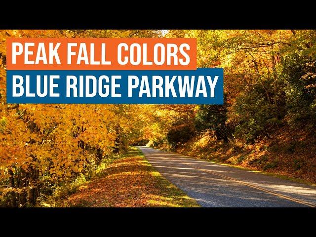 Peak Fall Colors on the Blue Ridge Parkway in NC