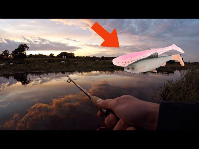 Lure Fishing on the Canal for Pike and Perch!