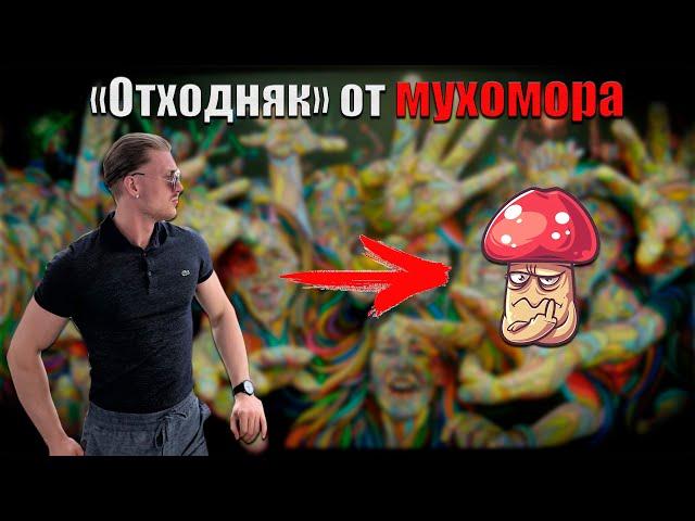 Отходняк от мухоморов на следующий день после приема | Мухоморный трип