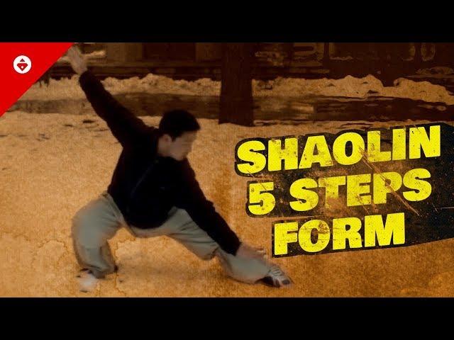 Shaolin Five Steps 五步拳 | FIRST FORM You Should Learn | Shaolin Kung Fu Basics