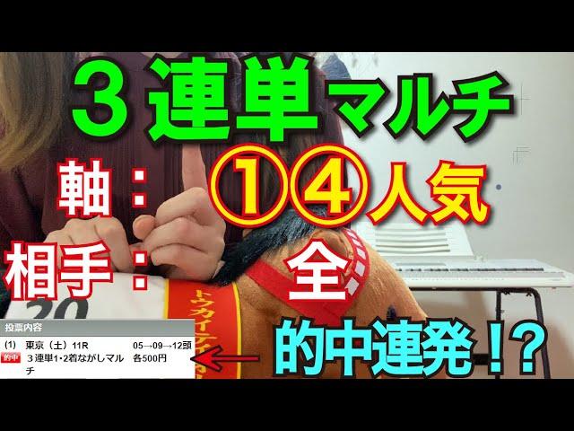 【競馬検証】40万円投資！3連単2頭軸マルチ①④人気⇔全で買ってみた