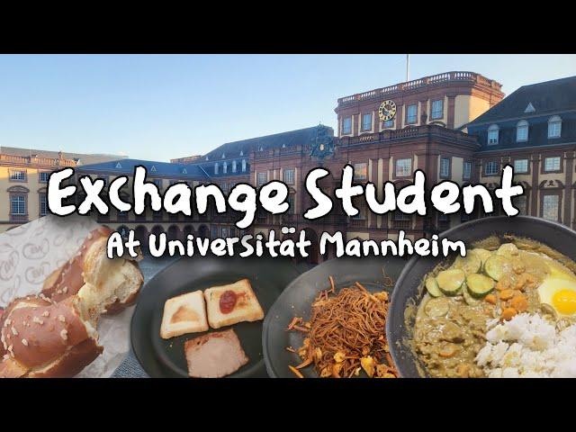 A Day in the Life of an Exchange Student at Mannheim University 