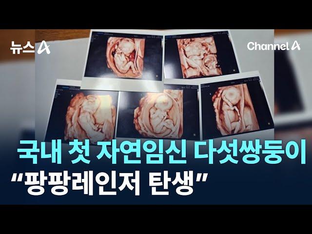 국내 첫 자연임신 다섯쌍둥이…“팡팡레인저 탄생” / 채널A / 뉴스A