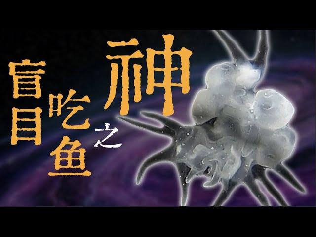 【鬼谷闲谈】由癌细胞演化成的动物？