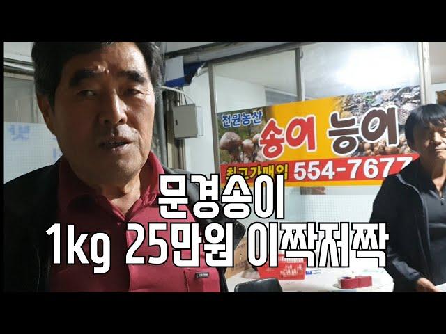 오춘봉LIVE]문경송이 직판장 40년 이짝저짝 경북의성동생 강추 직판장 #송이직판#능이버섯#상주여행