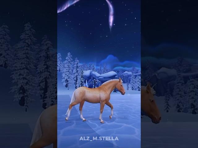 #sso#starstable#starstableonline#лошади#horses