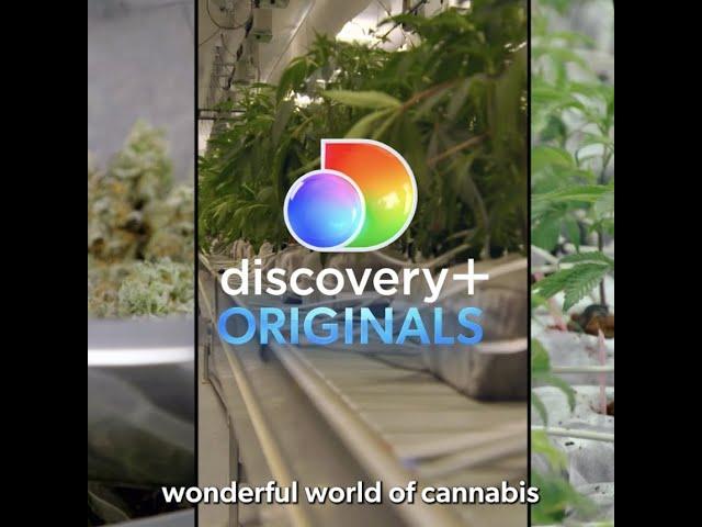 Tank Glass will be featured on new show "High Design" on Discovery+