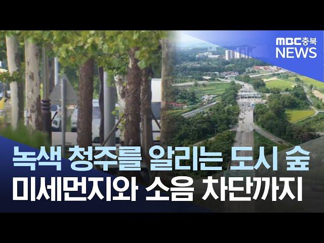 "나무로 반기는 청주" 관문마다 도시숲ㅣMBC충북NEWS