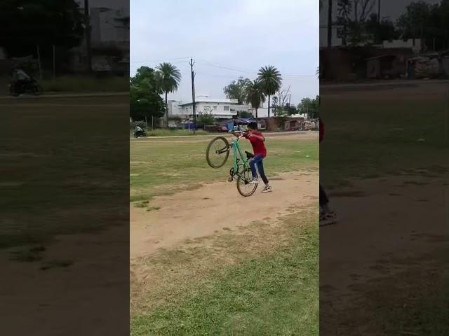 peg wheelie mein pair skate ||  ||