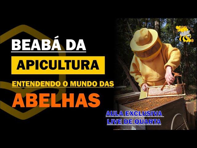 Conheça TUDO sobre as abelhas que fazem a Superprodução de Mel  - LIVE DE QUARTA#102