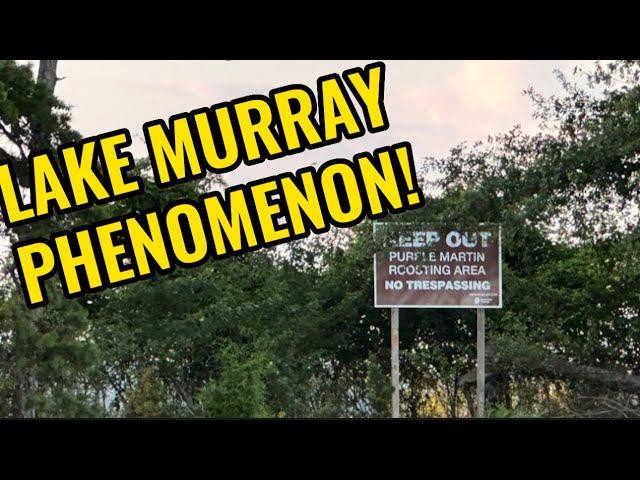 LAKE MURRAY PHENOMENON!