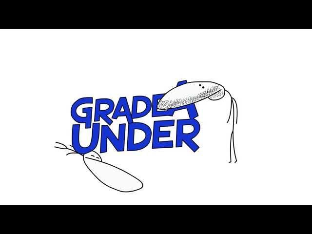 GradeAUnderA Animation Test