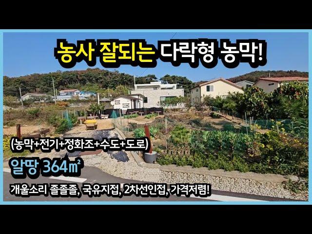 #525 [송해면농막], 토지364㎡, 공들여 잘 가꾼 텃밭과 다락형 농막을 싼값에 처분합니다.