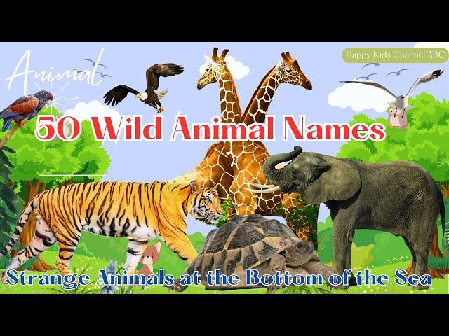 50 Wild Animal Names - Strange Animals Under the Sea - Animal World 2024