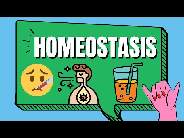 Homeostasis Examples