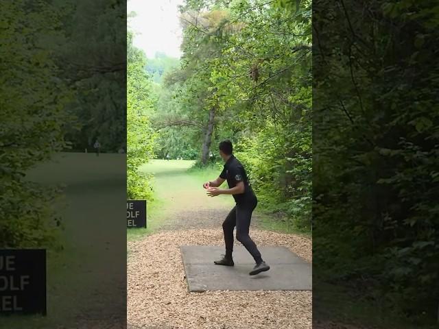 Cole nearly hits the ace of a LIFETIME  #discgolf